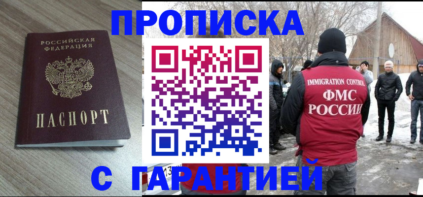 прописка 2025 в Михайлове